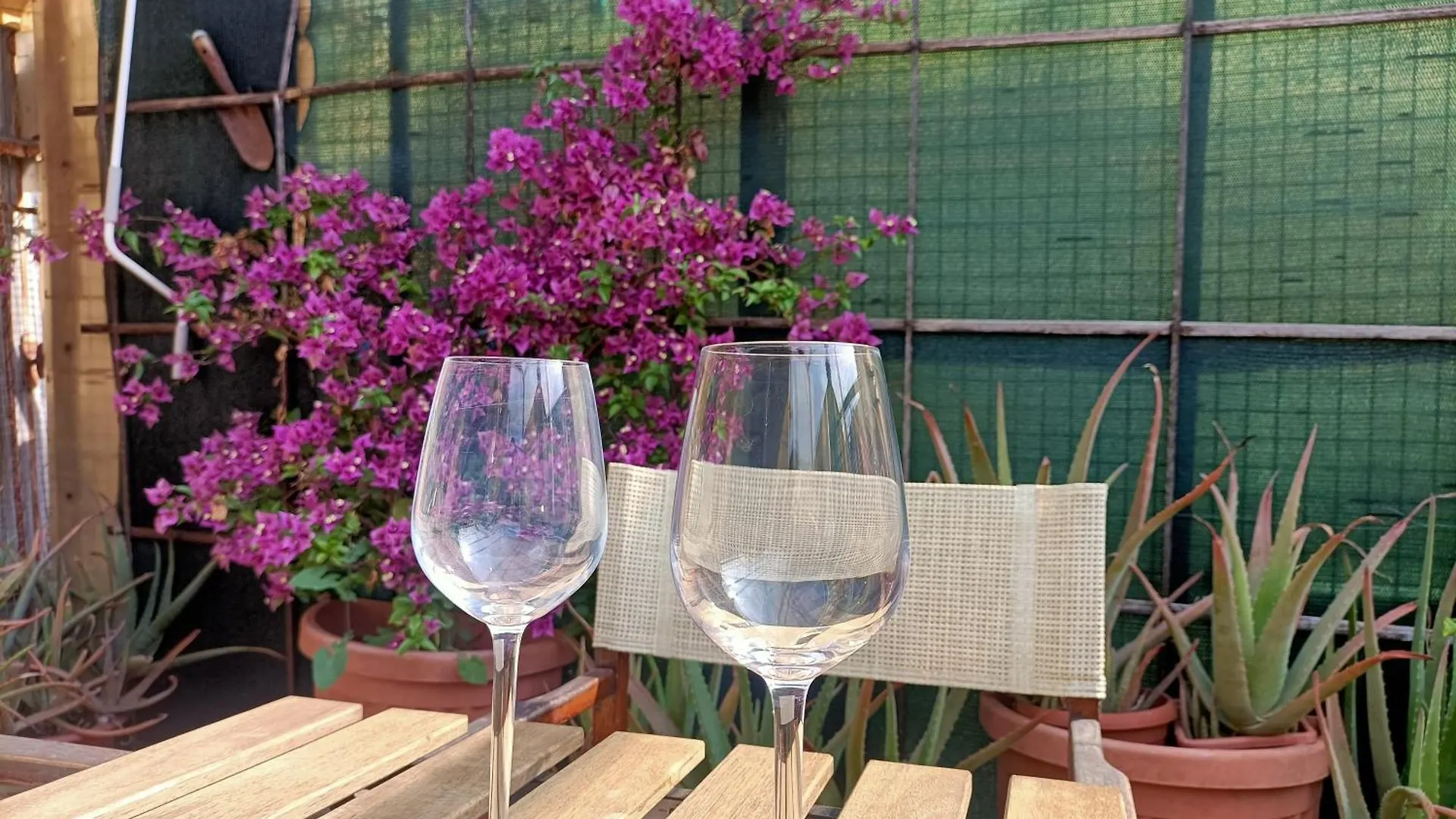 Delle Erbe - The Nightlife Apartment Albenga Italy